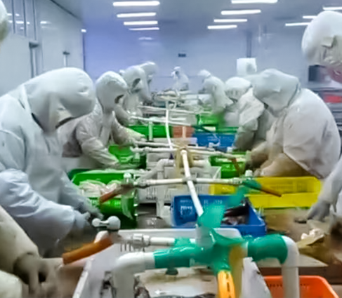 关于米乐官方网页版